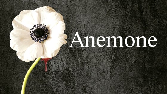 فيلم Anemone 2025 مترجم