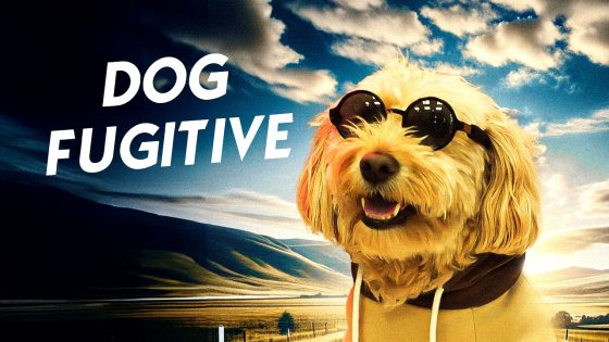 فيلم Dog Fugitive 2025 مترجم